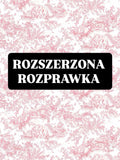 Rozprawka rozszerzona opracowanie