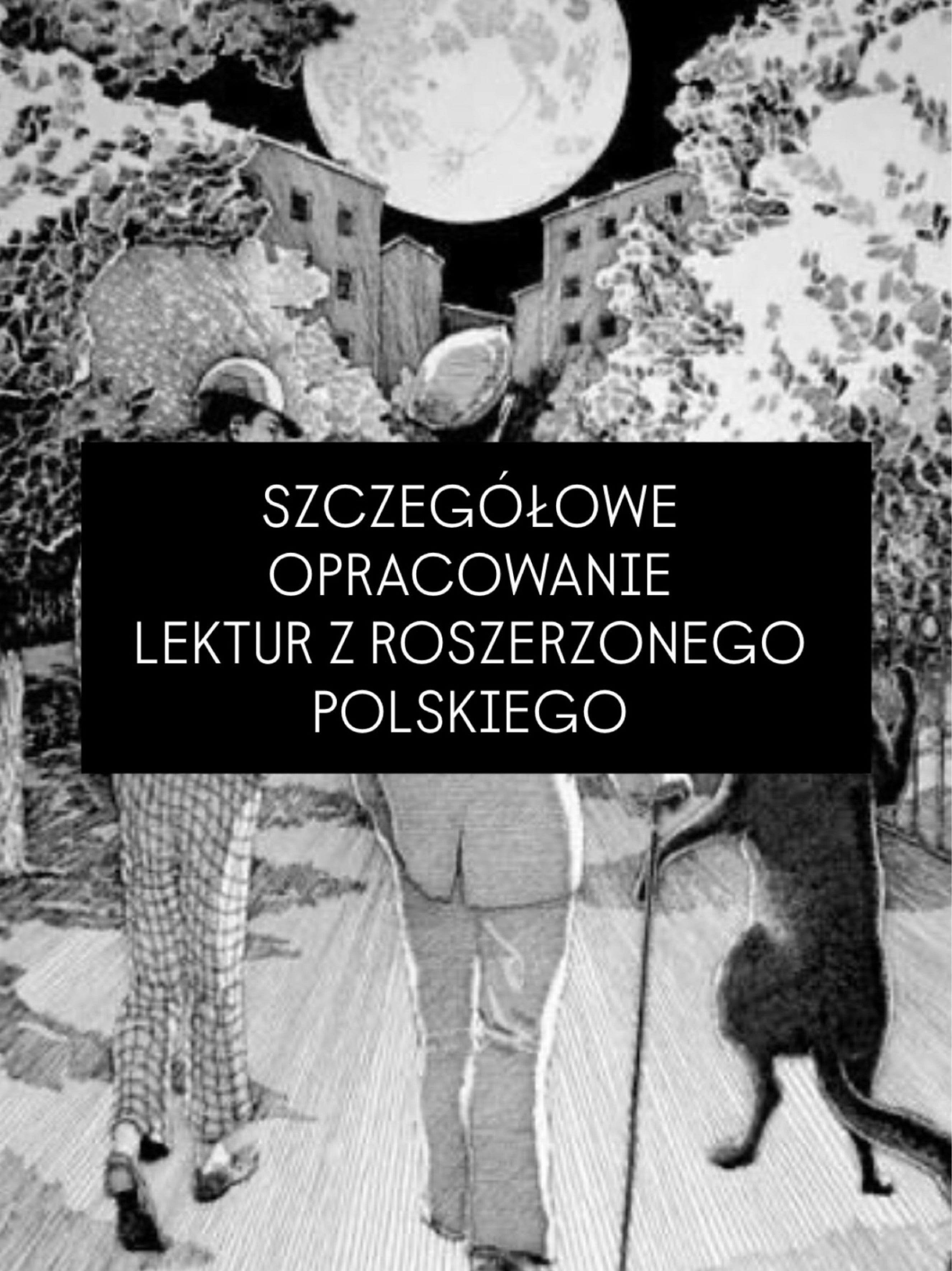 Szczegółowe omówienie lektur polski rozszerzony